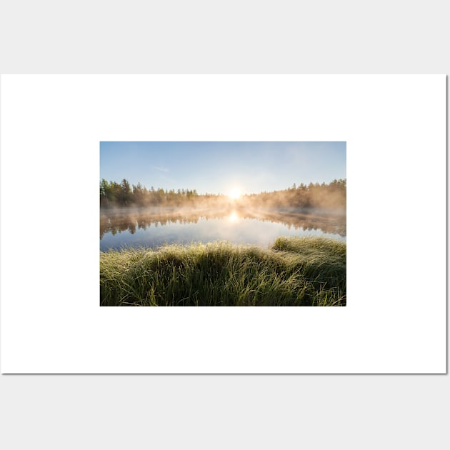 Sunrise at foggy forest lake Wall Art by Juhku